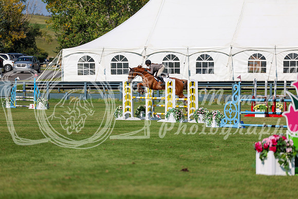 2025 - Shea - Fall Finale - Saturday September 13th - 13135