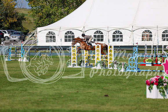 2025 - Shea - Fall Finale - Saturday September 13th - 13136