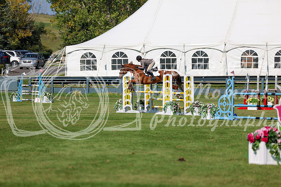 2025 - Shea - Fall Finale - Saturday September 13th - 13137