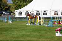 2025 - Shea - Fall Finale - Saturday September 13th - 13138