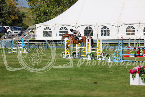 2025 - Shea - Fall Finale - Saturday September 13th - 13138