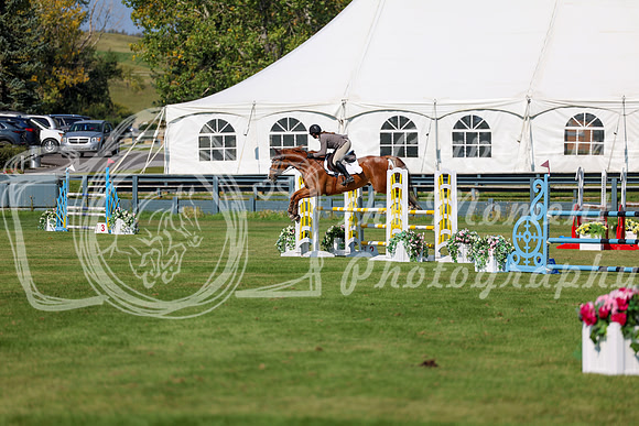 2025 - Shea - Fall Finale - Saturday September 13th - 13139