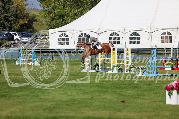 2025 - Shea - Fall Finale - Saturday September 13th - 13140