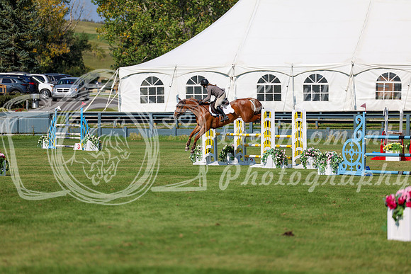2025 - Shea - Fall Finale - Saturday September 13th - 13141
