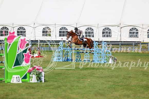 2025 - Shea - Fall Finale - Saturday September 13th - 13146
