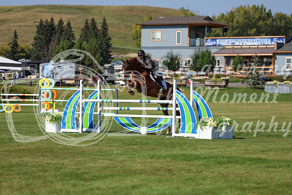 2025 - Shea - Fall Finale - Saturday September 13th - 13152