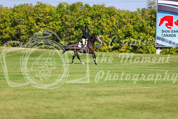 2025 - Shea - Fall Finale - Saturday September 13th - 13796