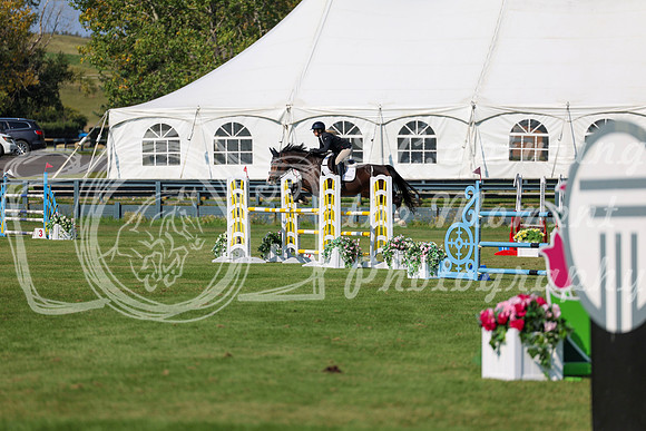 2025 - Shea - Fall Finale - Saturday September 13th - 13807
