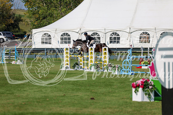 2025 - Shea - Fall Finale - Saturday September 13th - 13808