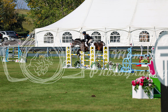 2025 - Shea - Fall Finale - Saturday September 13th - 13809