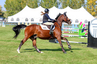 2025 - Shea - Fall Finale - Saturday September 13th - 13479