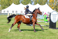 2025 - Shea - Fall Finale - Saturday September 13th - 13480