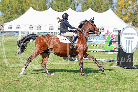 2025 - Shea - Fall Finale - Saturday September 13th - 13480