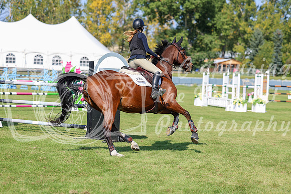 2025 - Shea - Fall Finale - Saturday September 13th - 13483