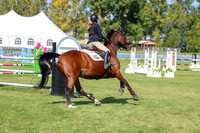 2025 - Shea - Fall Finale - Saturday September 13th - 13484