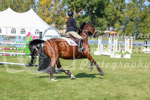 2025 - Shea - Fall Finale - Saturday September 13th - 13484