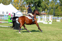 2025 - Shea - Fall Finale - Saturday September 13th - 13485