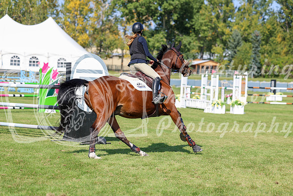 2025 - Shea - Fall Finale - Saturday September 13th - 13485