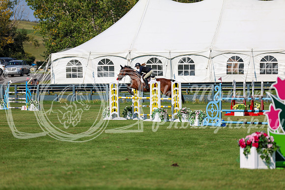 2025 - Shea - Fall Finale - Saturday September 13th - 13490