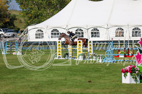 2025 - Shea - Fall Finale - Saturday September 13th - 13491