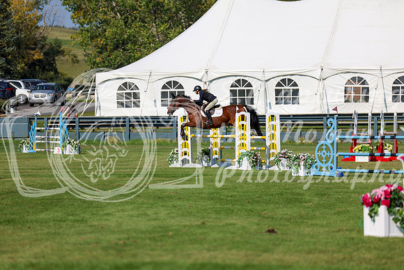 2025 - Shea - Fall Finale - Saturday September 13th - 13493