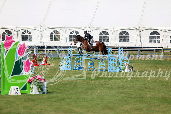 2025 - Shea - Fall Finale - Saturday September 13th - 13499