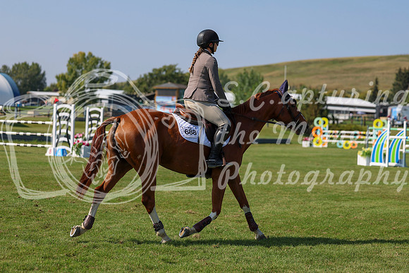 2025 - Shea - Fall Finale - Saturday September 13th - 13559