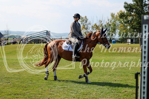 2025 - Shea - Fall Finale - Saturday September 13th - 13558