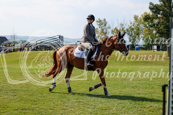 2025 - Shea - Fall Finale - Saturday September 13th - 13557