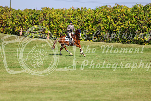 2025 - Shea - Fall Finale - Saturday September 13th - 13564