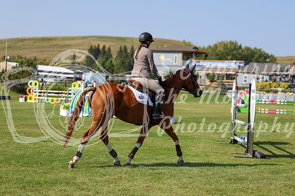 2025 - Shea - Fall Finale - Saturday September 13th - 13562