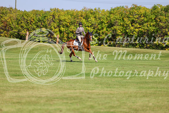 2025 - Shea - Fall Finale - Saturday September 13th - 13563