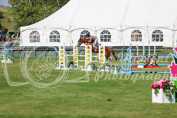 2025 - Shea - Fall Finale - Saturday September 13th - 13569