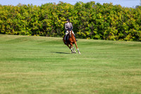 2025 - Shea - Fall Finale - Saturday September 13th - 13566