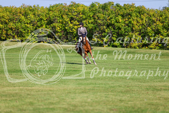 2025 - Shea - Fall Finale - Saturday September 13th - 13566