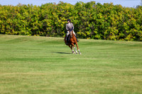 2025 - Shea - Fall Finale - Saturday September 13th - 13567