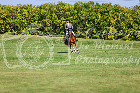 2025 - Shea - Fall Finale - Saturday September 13th - 13567