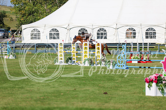 2025 - Shea - Fall Finale - Saturday September 13th - 13570