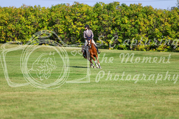 2025 - Shea - Fall Finale - Saturday September 13th - 13568