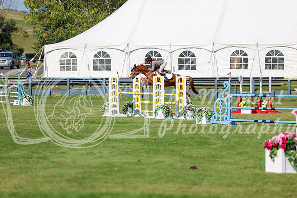 2025 - Shea - Fall Finale - Saturday September 13th - 13571