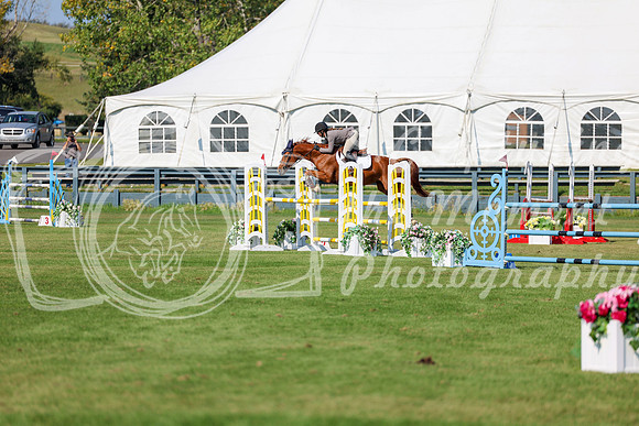 2025 - Shea - Fall Finale - Saturday September 13th - 13572