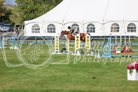 2025 - Shea - Fall Finale - Saturday September 13th - 13573