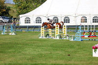 2025 - Shea - Fall Finale - Saturday September 13th - 13575