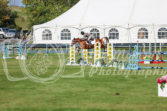 2025 - Shea - Fall Finale - Saturday September 13th - 13575