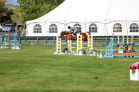 2025 - Shea - Fall Finale - Saturday September 13th - 13574