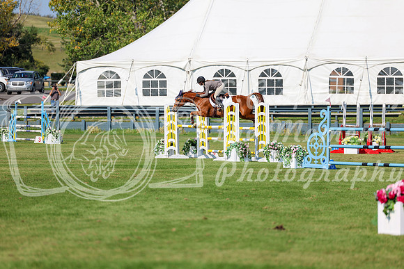 2025 - Shea - Fall Finale - Saturday September 13th - 13574