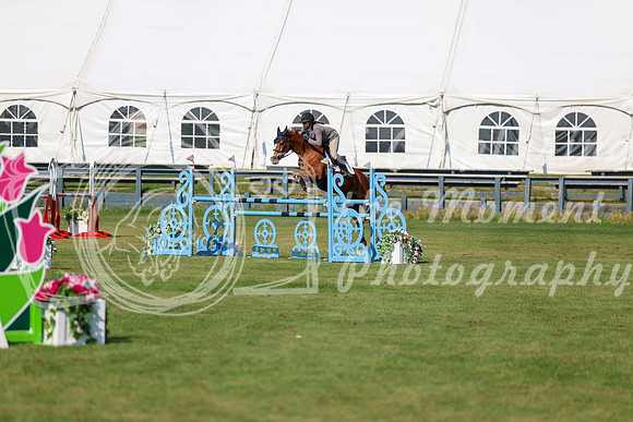 2025 - Shea - Fall Finale - Saturday September 13th - 13576