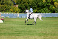 2025 - Shea - Fall Finale - Saturday September 13th - 13715