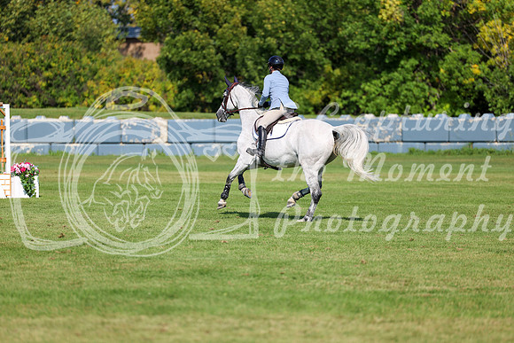 2025 - Shea - Fall Finale - Saturday September 13th - 13715