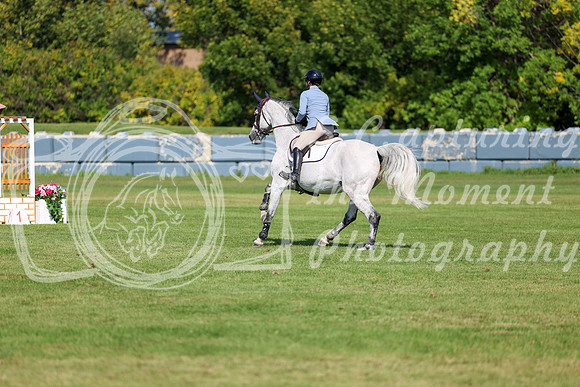 2025 - Shea - Fall Finale - Saturday September 13th - 13717